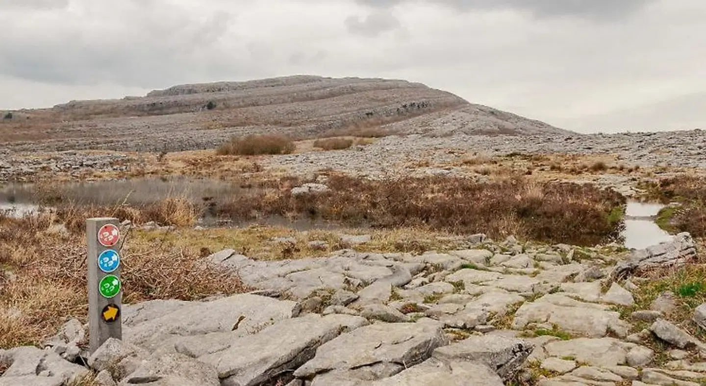 Hotel Woodstock, Ascend Hotel Collection LANDSCAPE