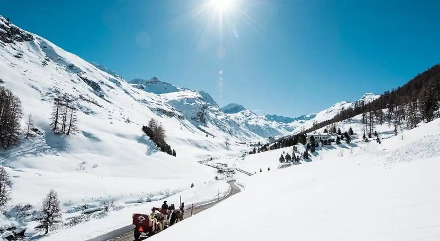 Parkhotel Margna Superior Landschaft