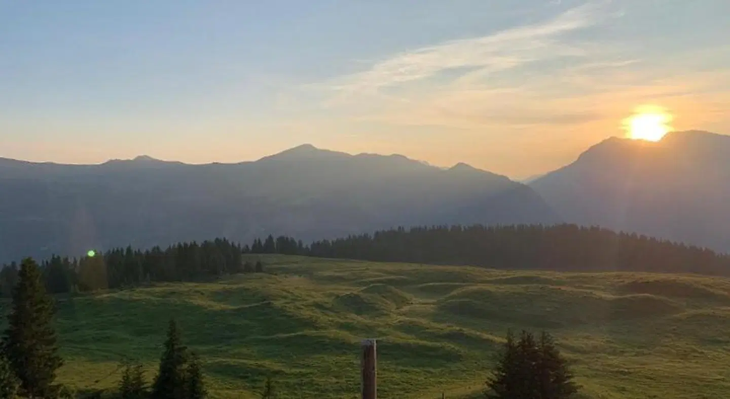 The Excelsior LANDSCAPE