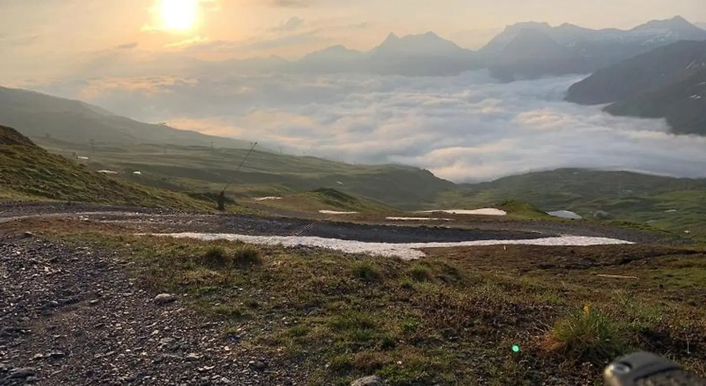 The Excelsior LANDSCAPE