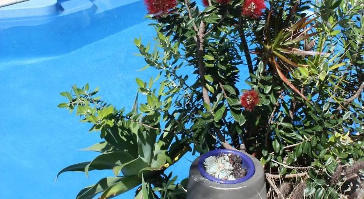 Snells Beach Motel OUTDOOR_POOL