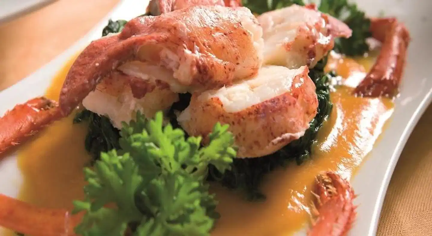 Ramada Naples ANIMAL