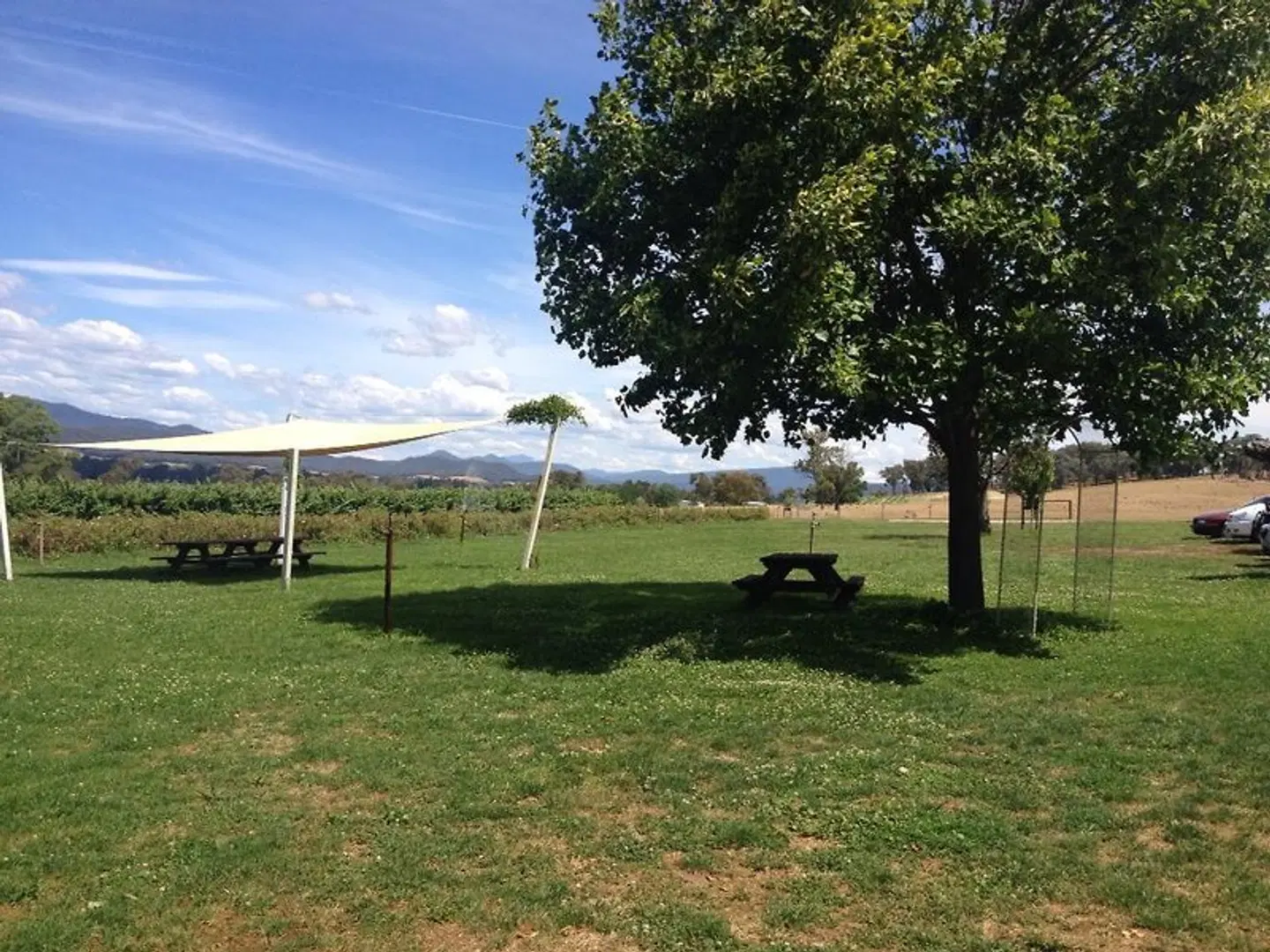 Austin Rise Bed and Breakfast GARDEN