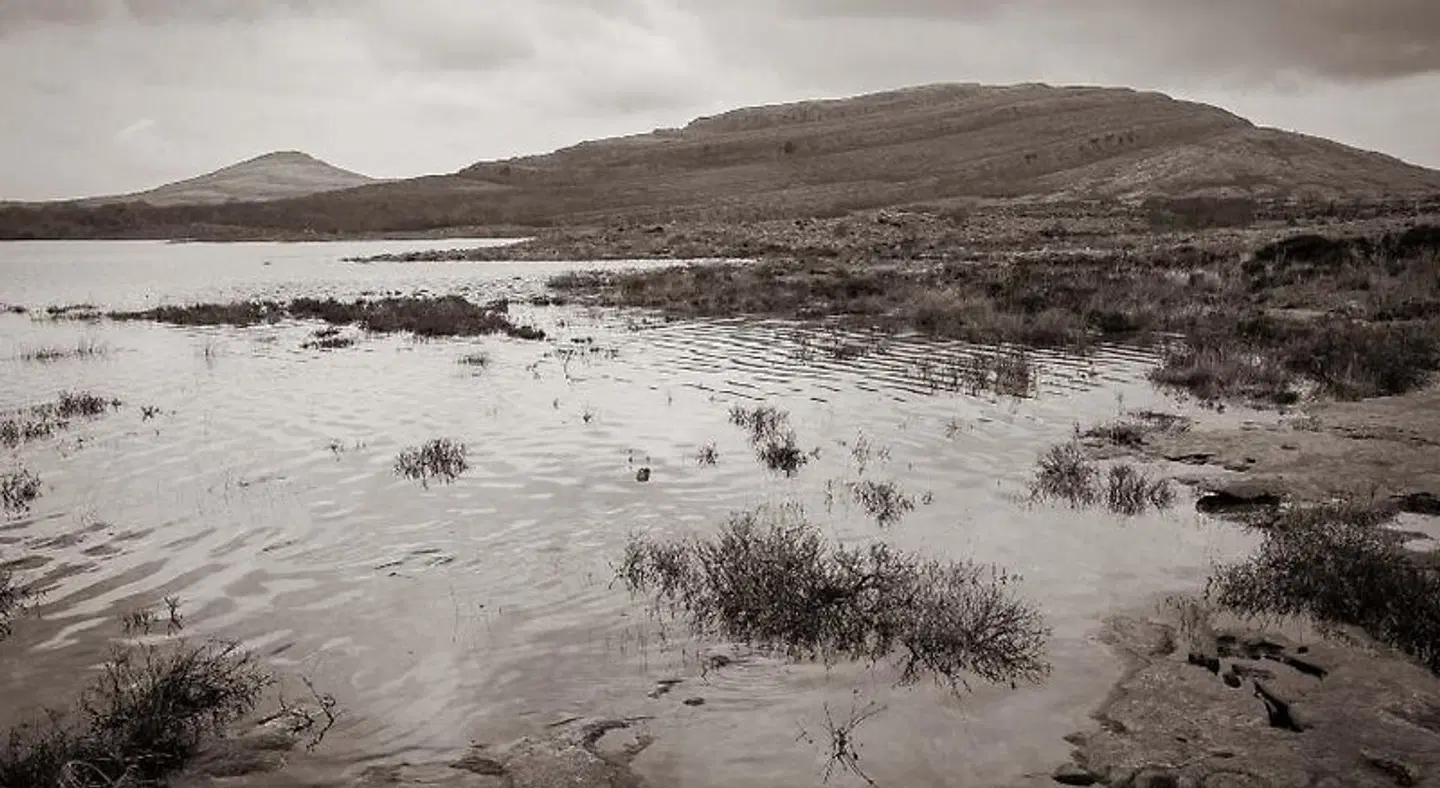 Hotel Woodstock, Ascend Hotel Collection LANDSCAPE