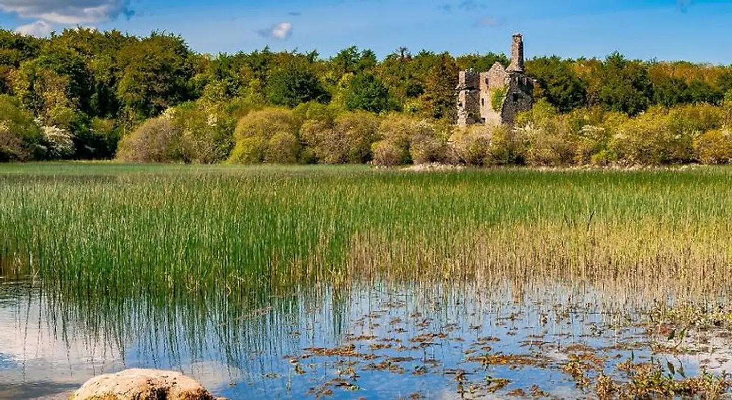 Hotel Woodstock, Ascend Hotel Collection LANDSCAPE