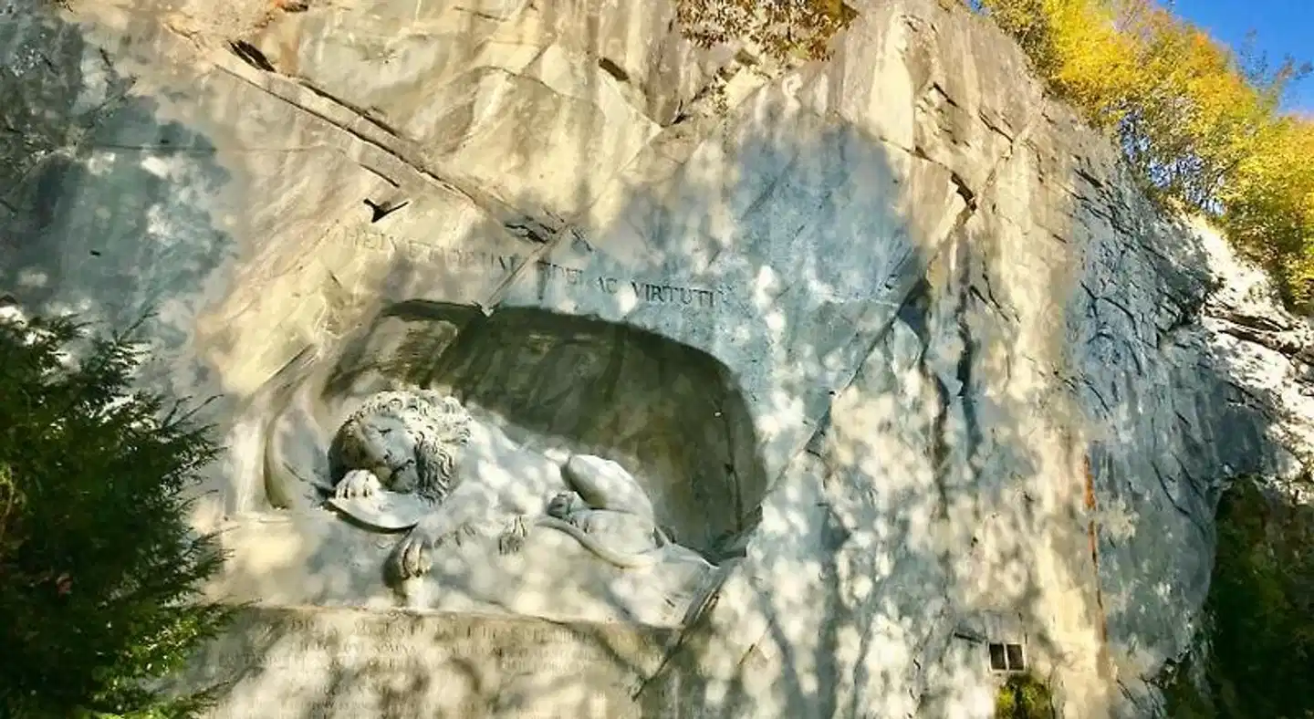 Hotel Monopol Luzern Tiere