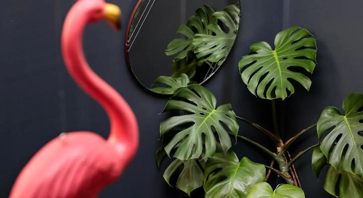 Alabama Hotel Hobart LOUNGE_LOBBY