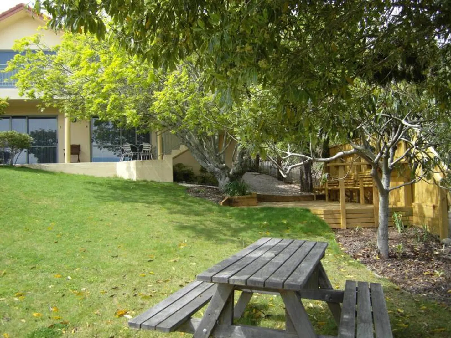 Abelia Motor Lodge GARDEN