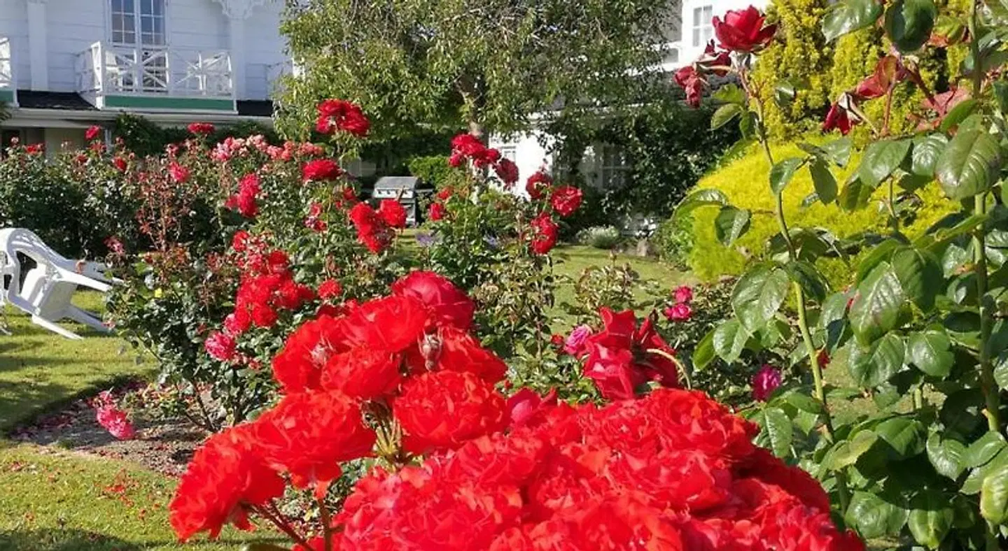 Phoenix Resort - Taupo GARDEN
