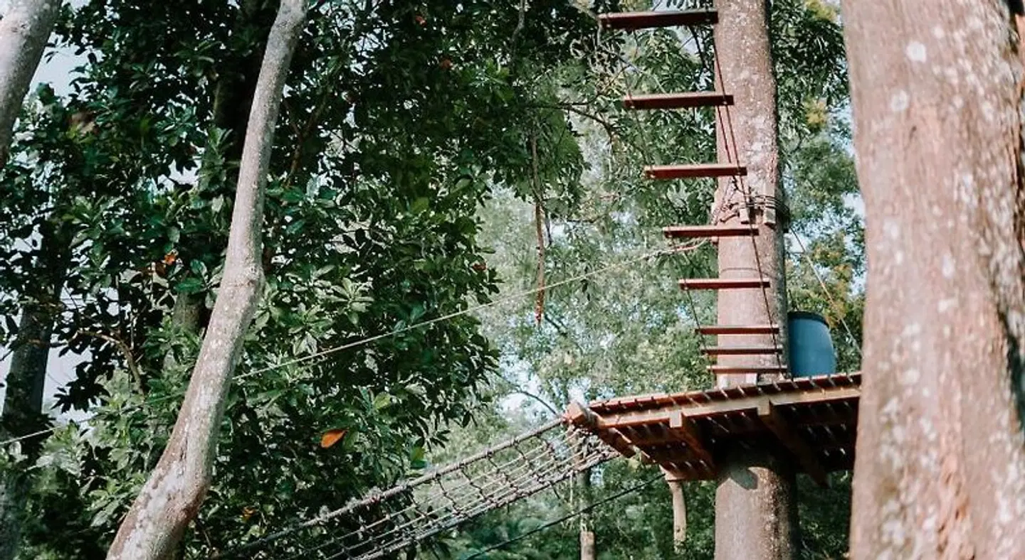 Tunamaya Beach & Spa Resort - Desaru Coast ANIMAL
