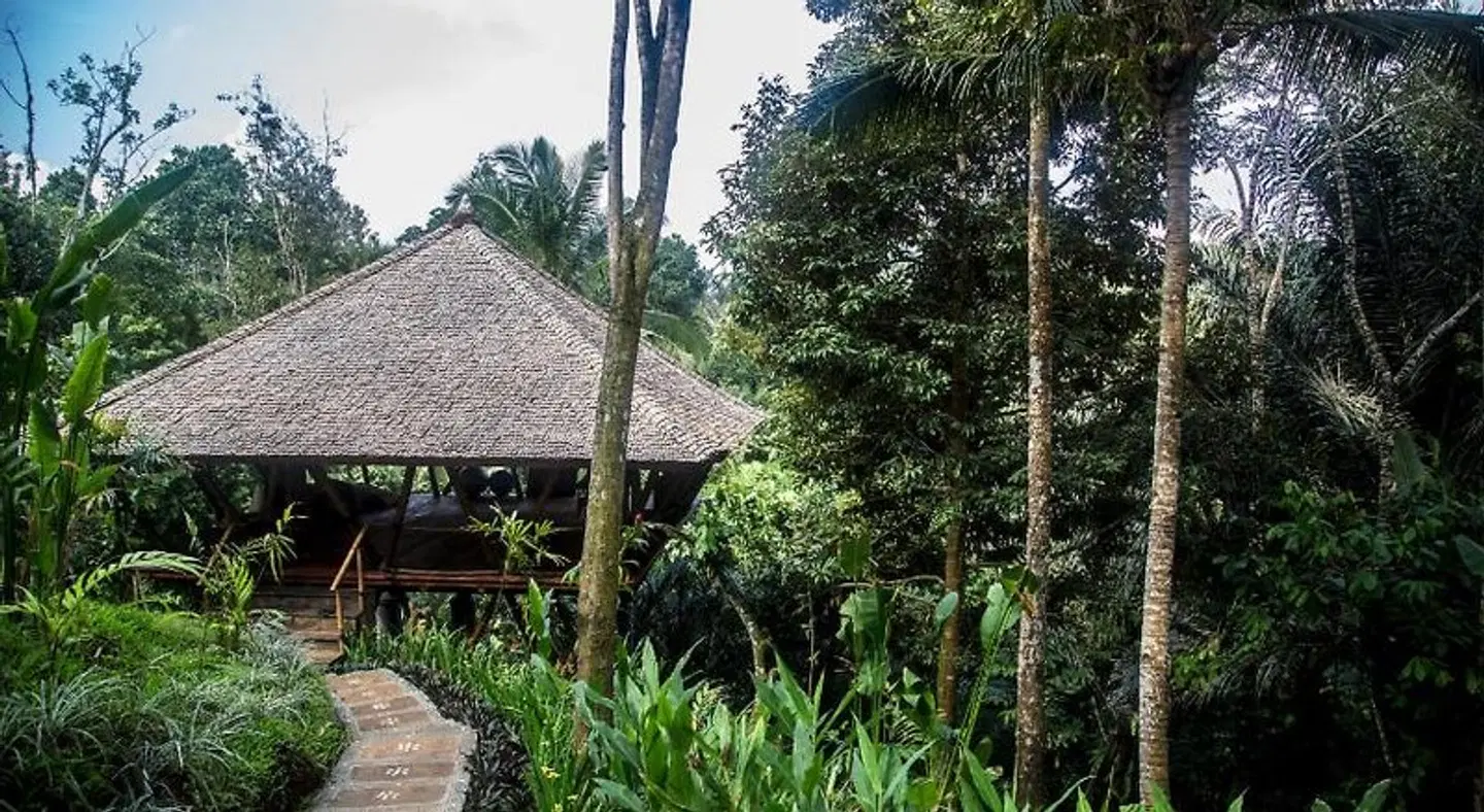 Alassari Plantation GARDEN