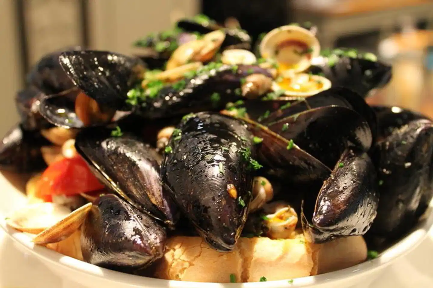 Stelle Hotel The Businest Restaurant