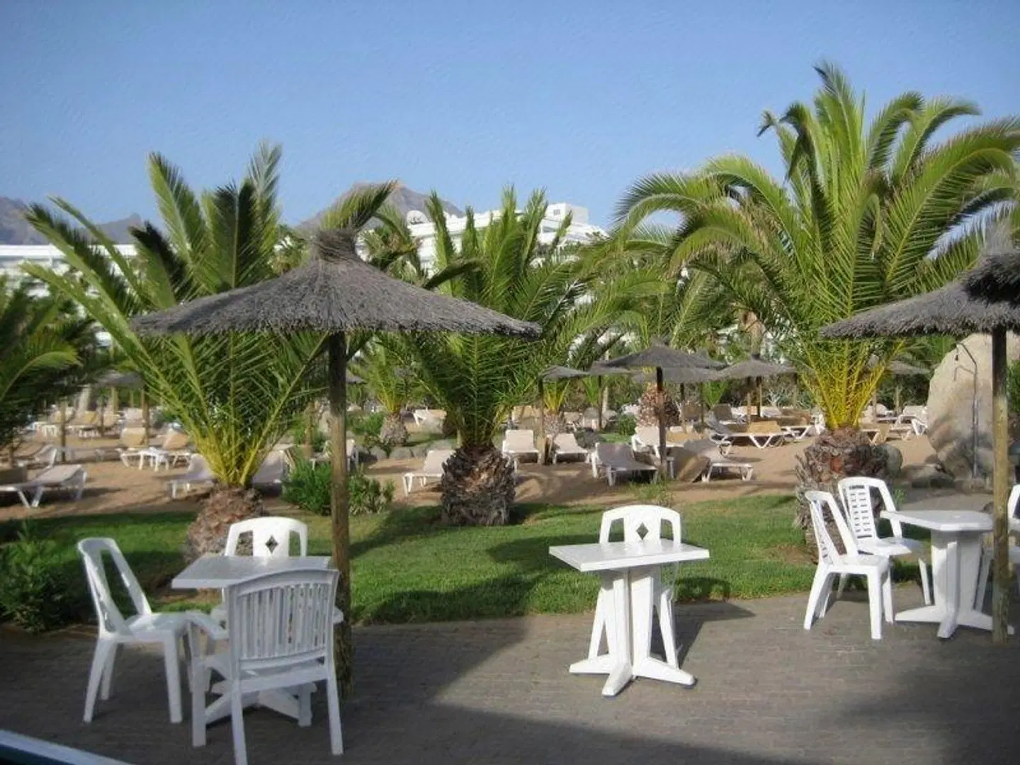 RIU Arecas Terrasse