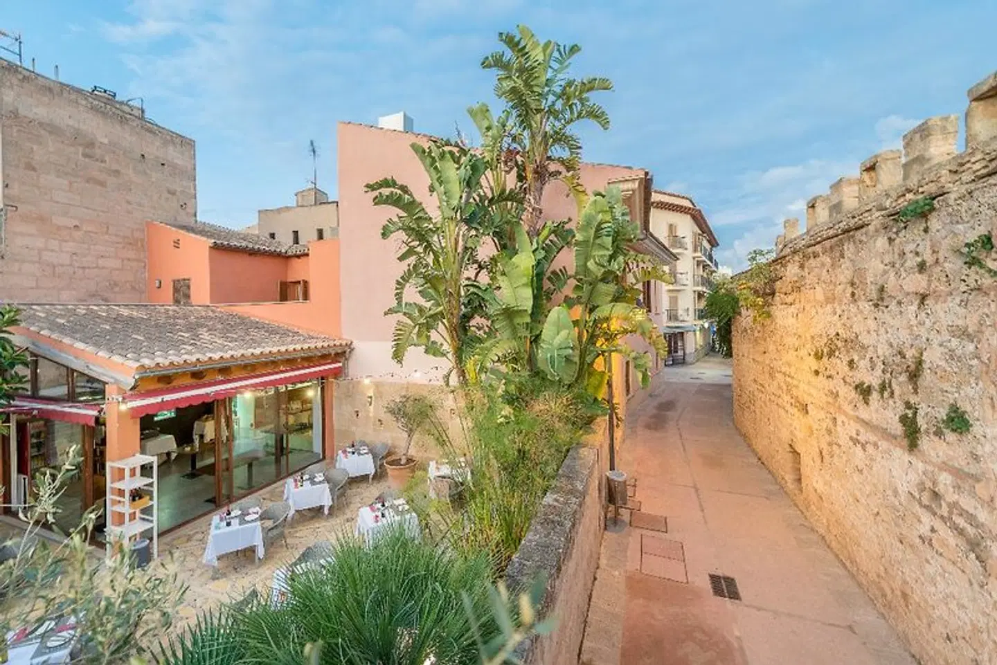 Alcudia Petit Hotel LANDSCAPE