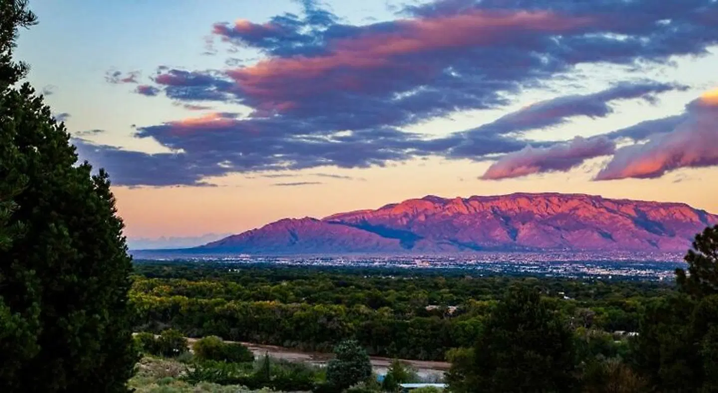 Holiday Inn Express & Suites Albuquerque Historic Old Town by IHG LANDSCAPE