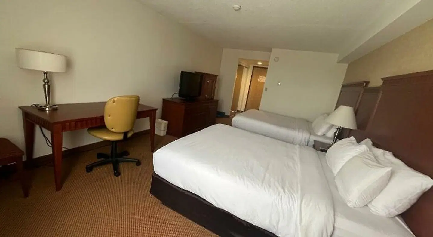Quality Inn & Suites Bay Front ROOM_EXAMPLE