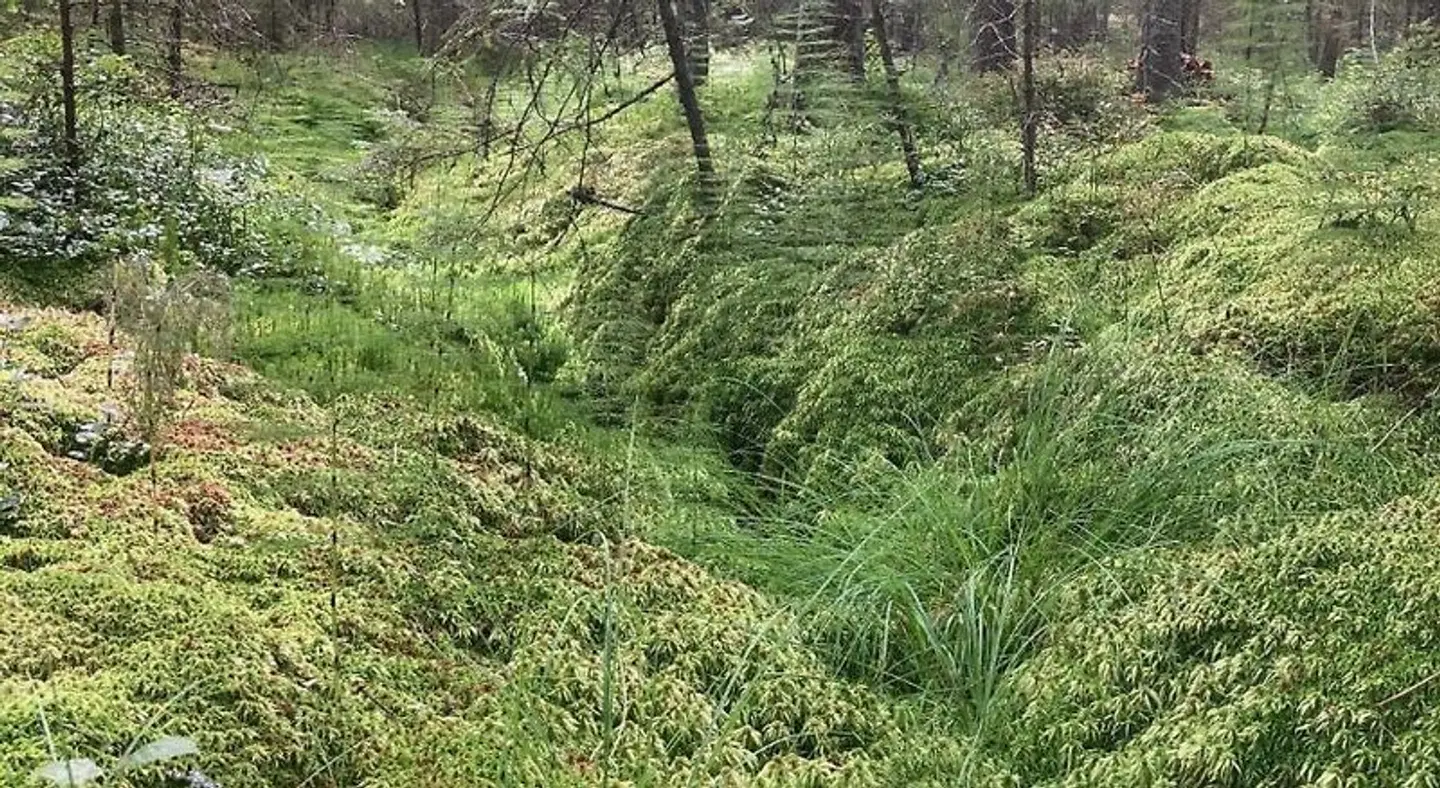 Vita Krala LANDSCAPE