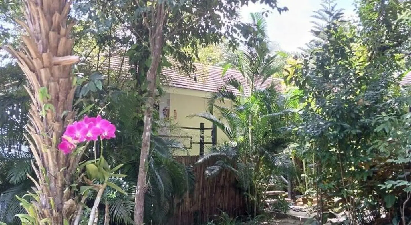 Jasmin Garden Koh Kood Garten