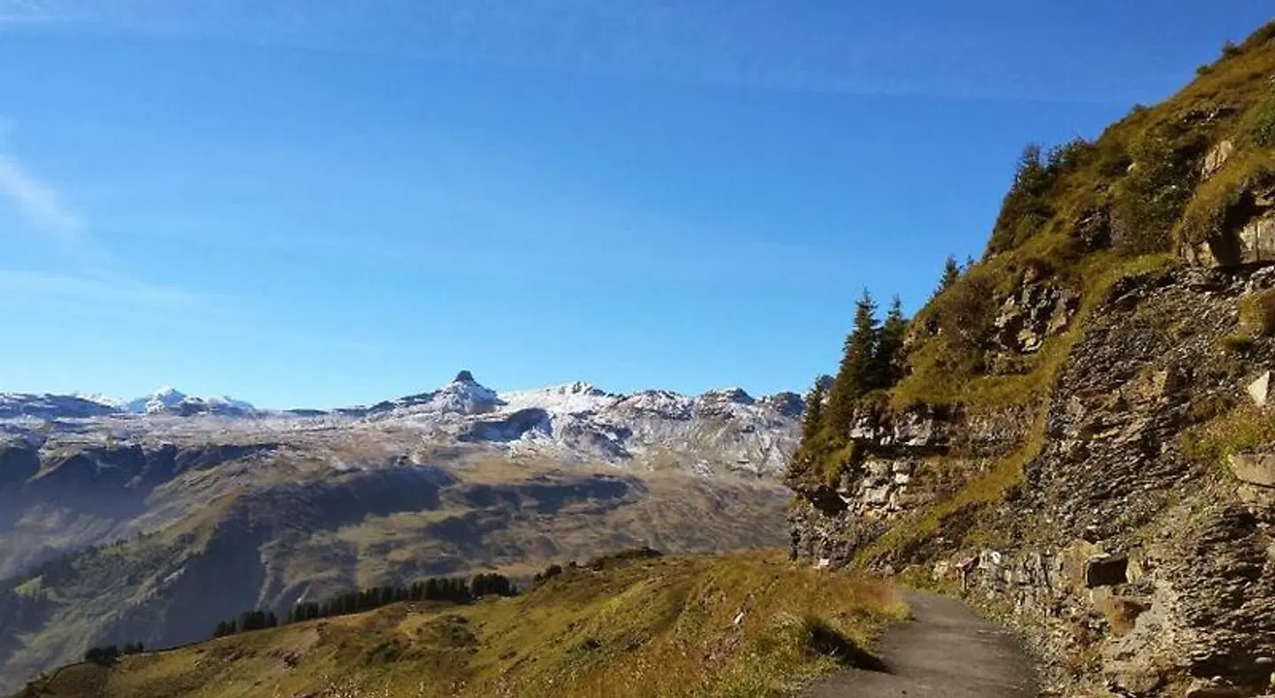 Tannenboden LANDSCAPE