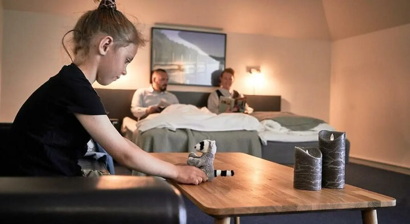 Vejlsøhus Hotel and Conference Center ROOM_EXAMPLE