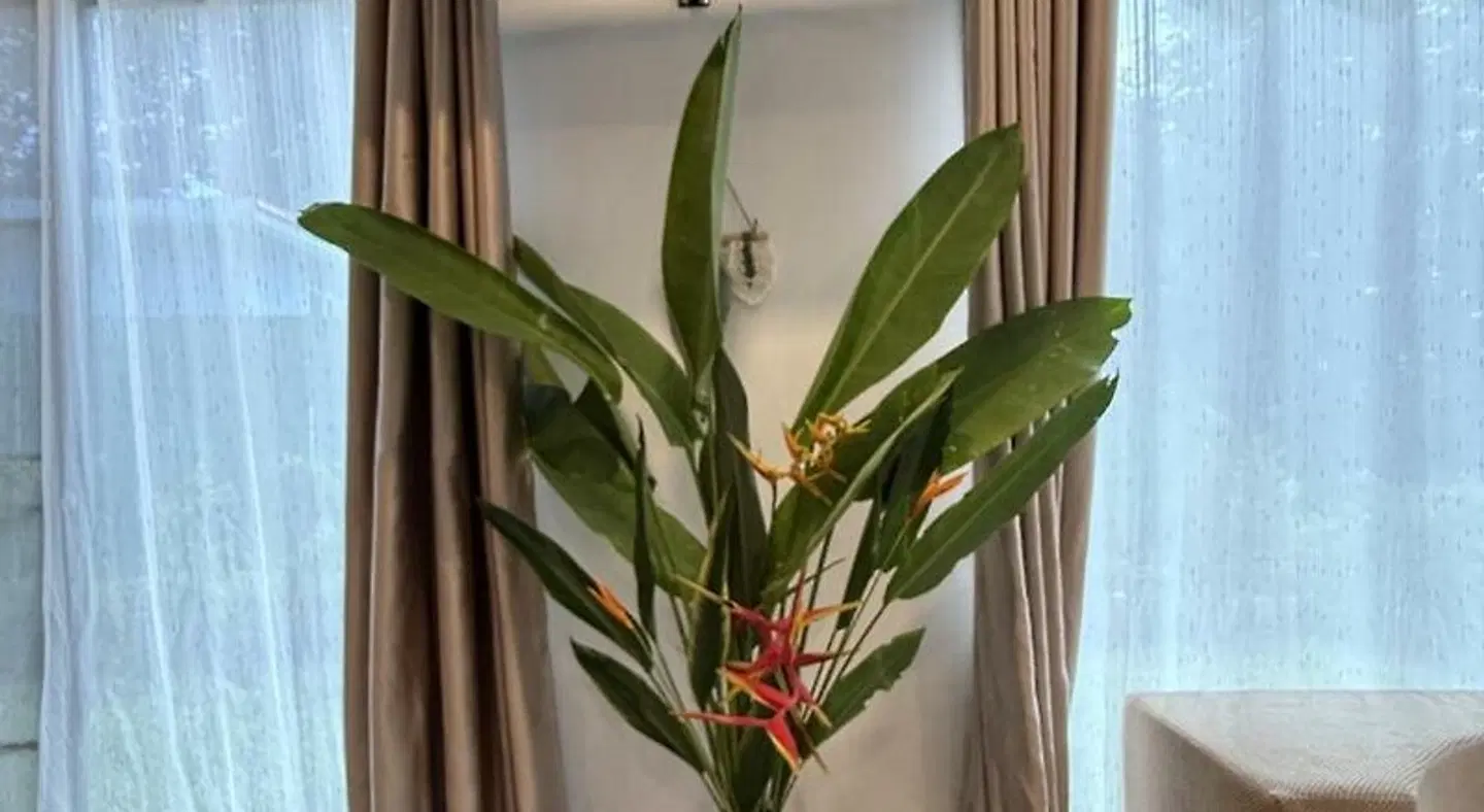 Kuba Bungalows LOUNGE_LOBBY