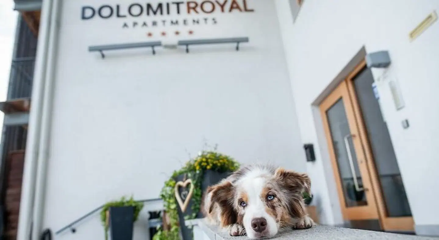 Aparthotel Dolomit Royal Tiere