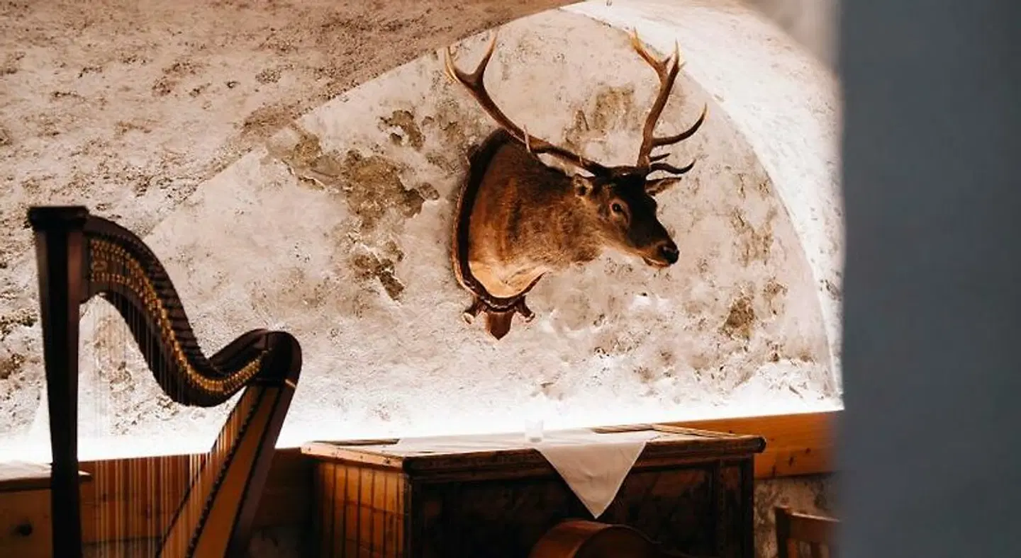Unterwöger Tiere