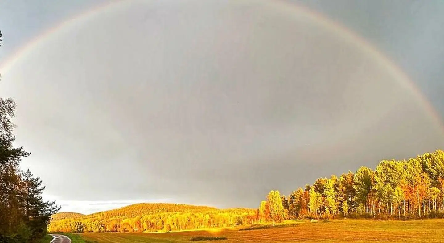 Kullerbacka Gästhus LANDSCAPE