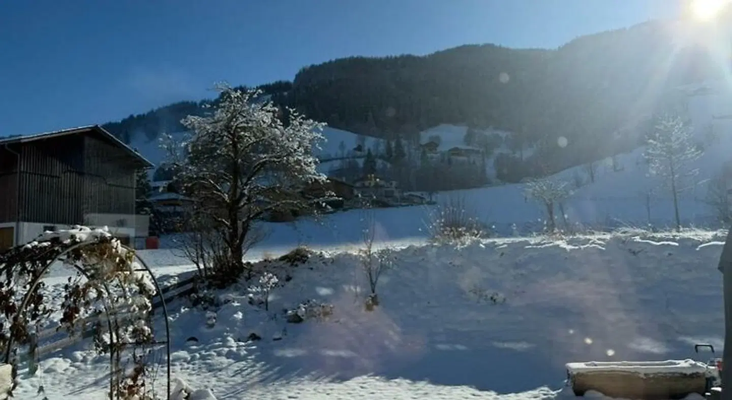 Pension Mitterwallner LANDSCAPE