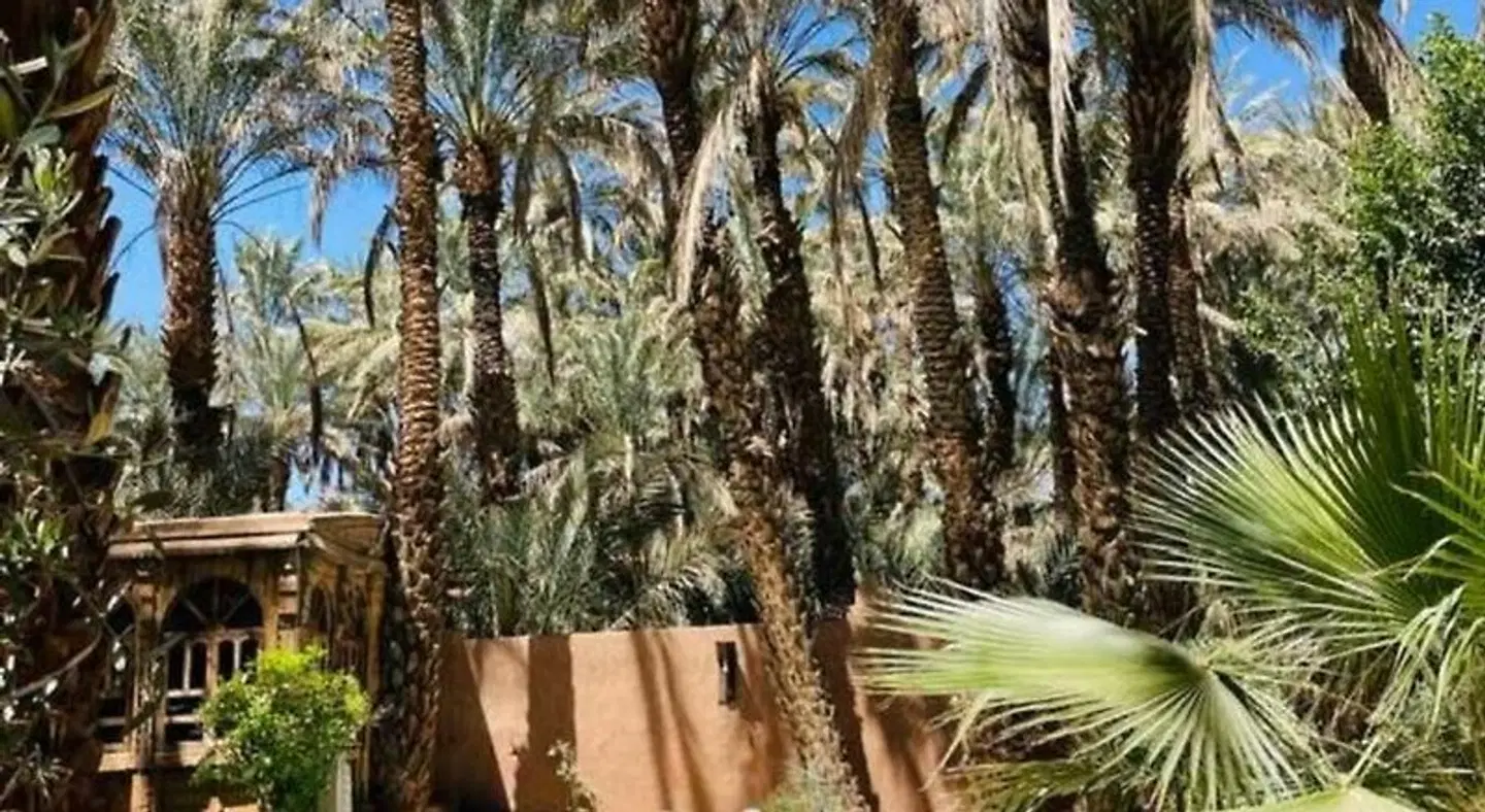 Riad Soleil du Monde Garten