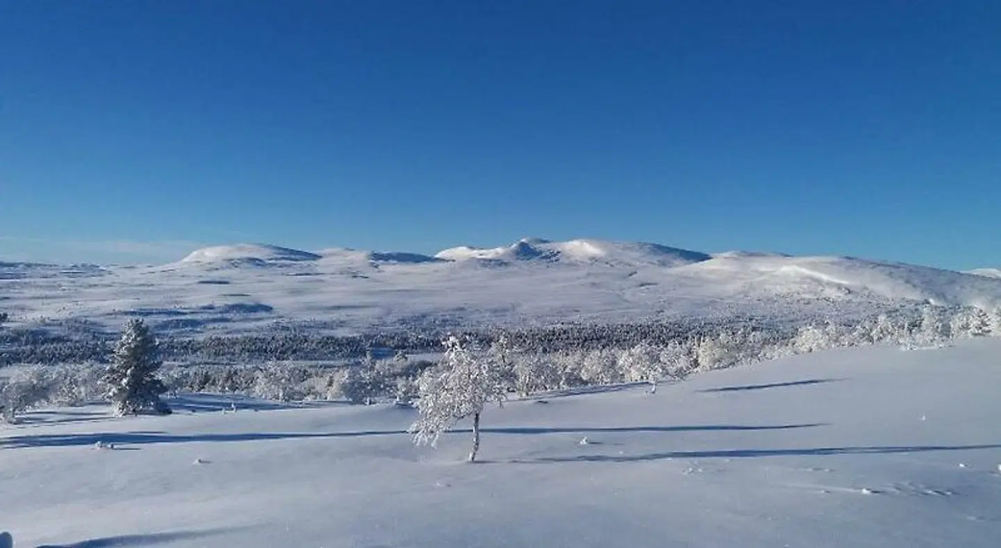Storsätra Fjällhotell LANDSCAPE