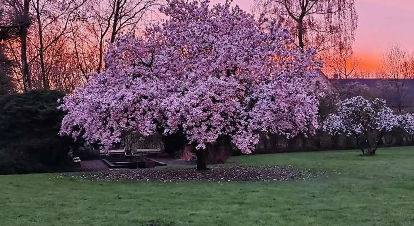 Royal Garden Garten