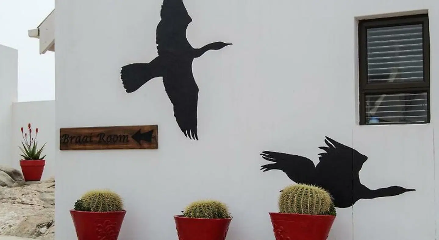 The Cormorant House Tiere