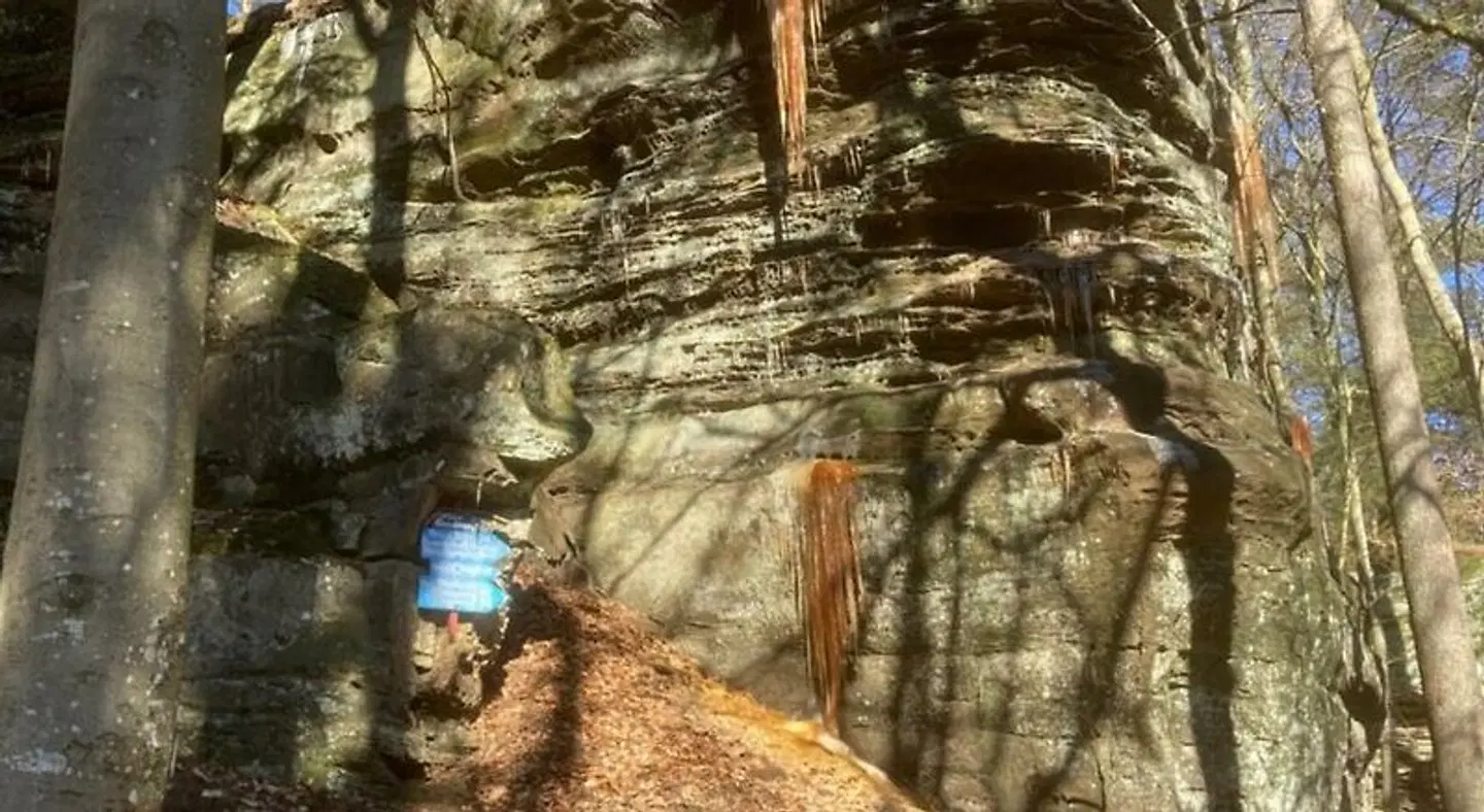 PRISMA Hotel Burg Bollendorf LANDSCAPE