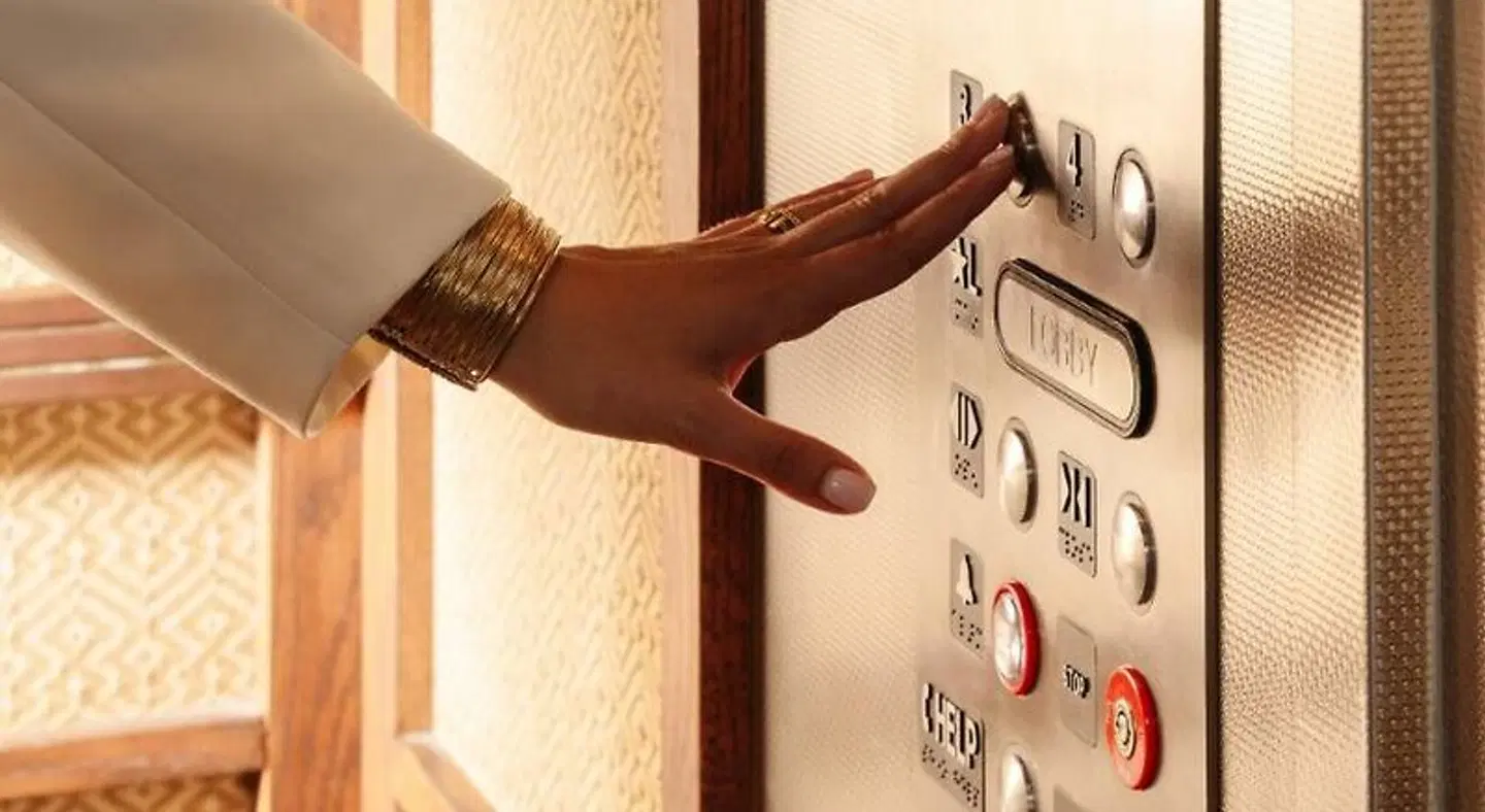 Balfour Miami Beach, a Registry Collection Hotel Tiere