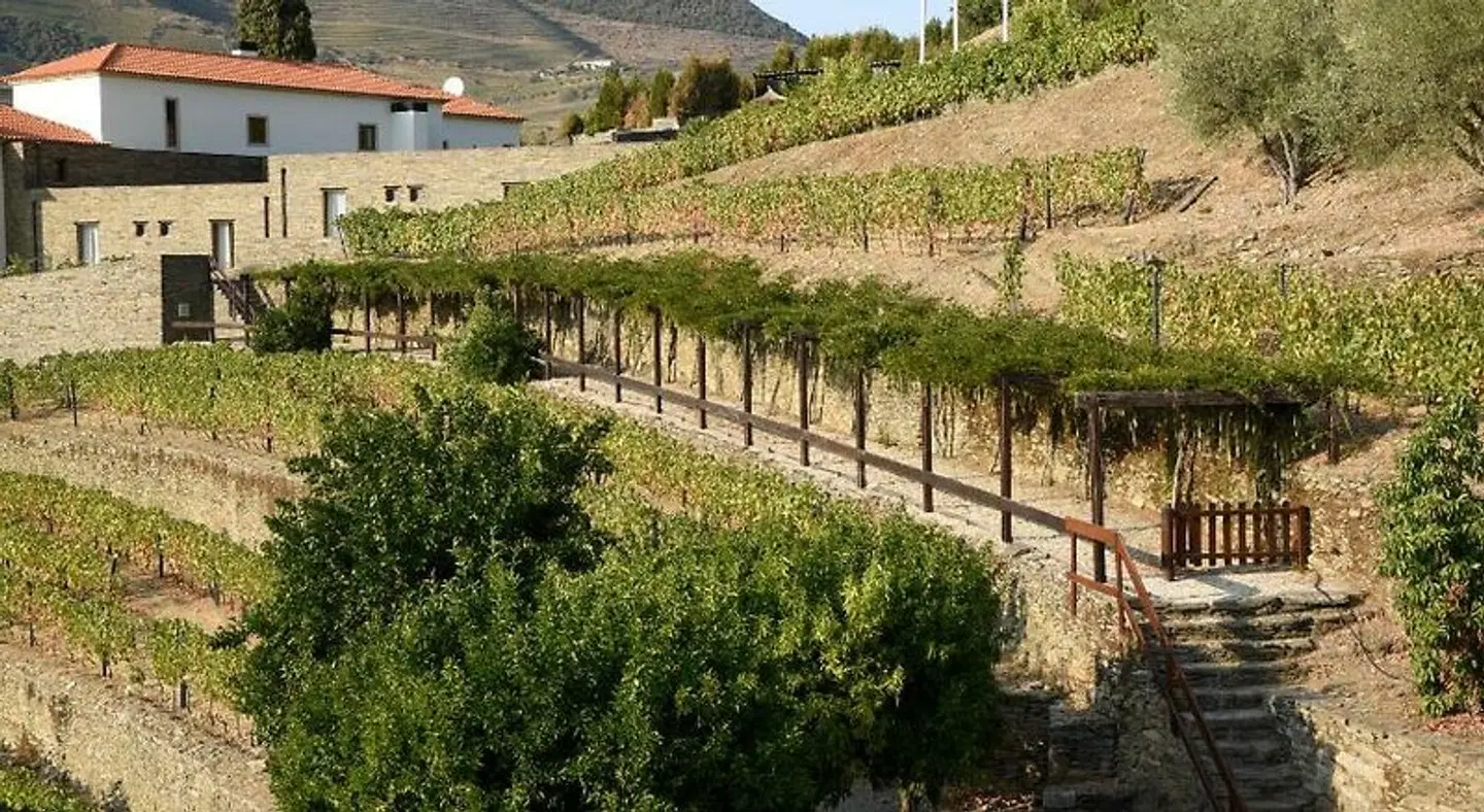 Rural Quinta Do Pego LANDSCAPE