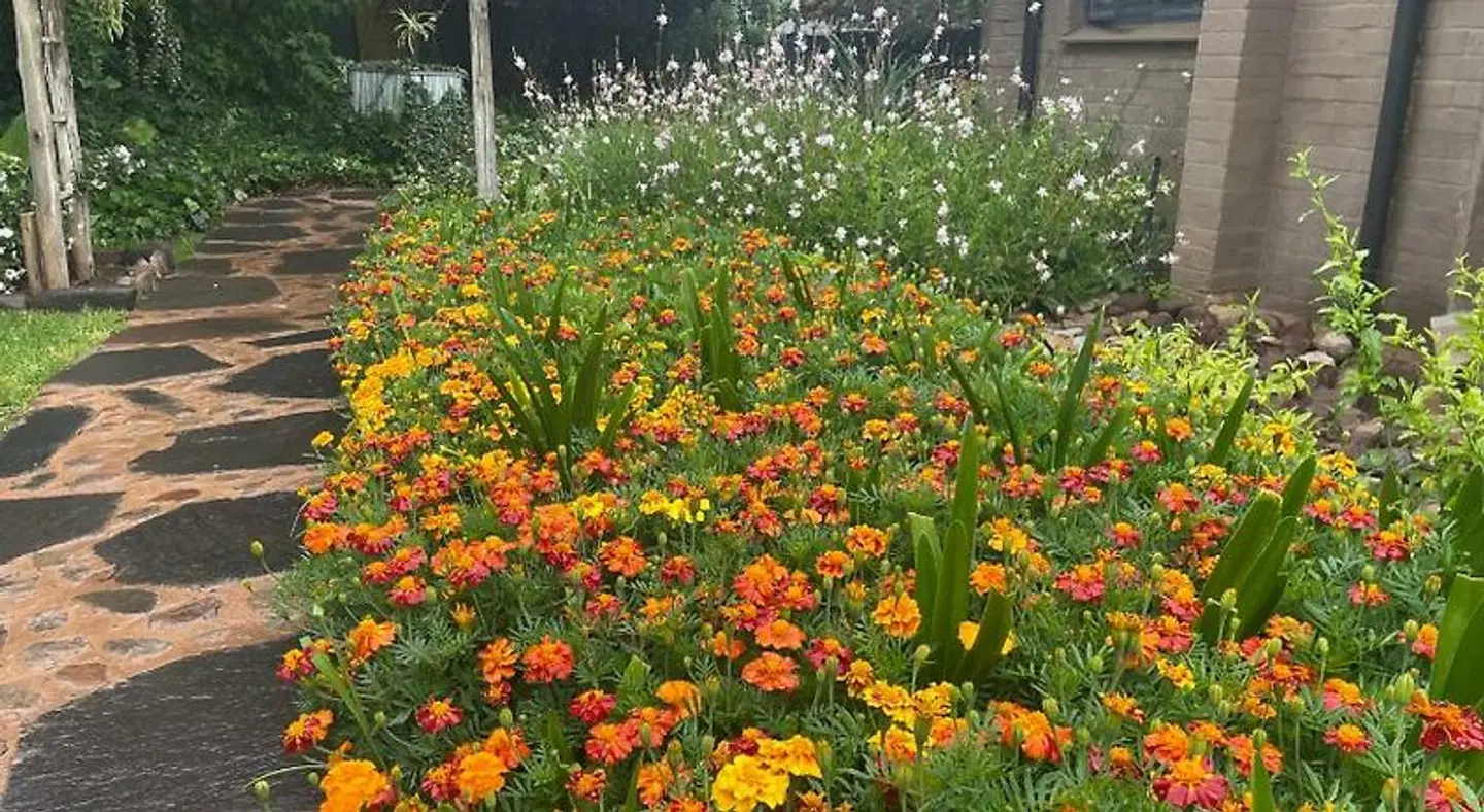 Dias Guest House Garten