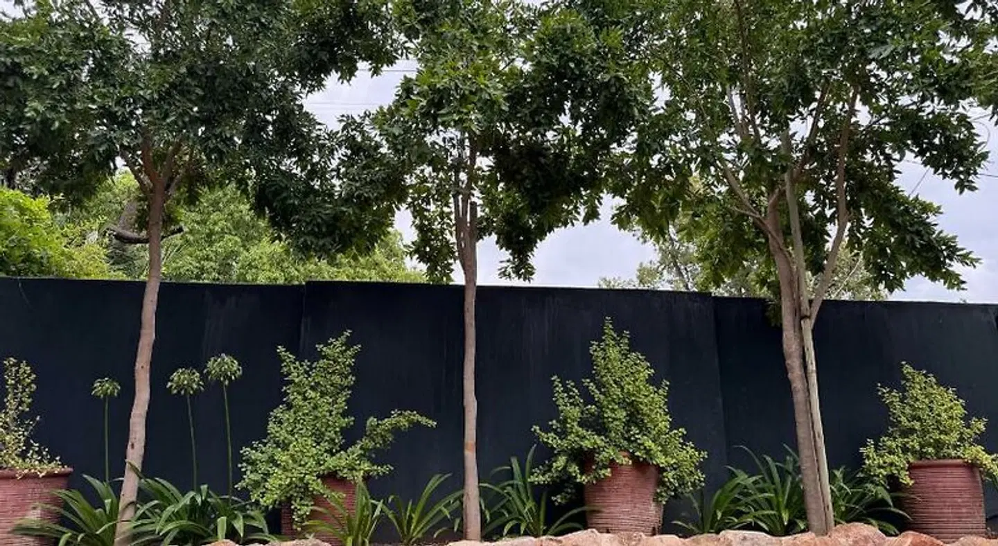 Dias Guest House Garten