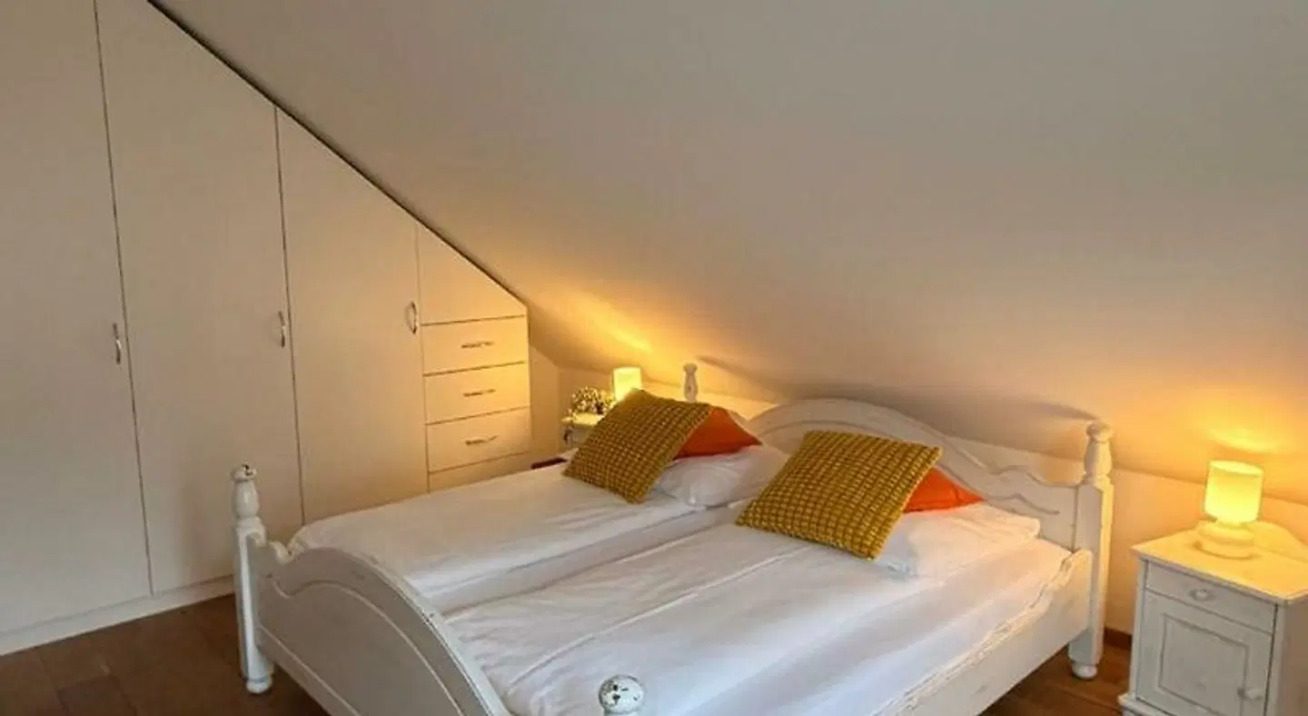 Papillon ROOM_EXAMPLE
