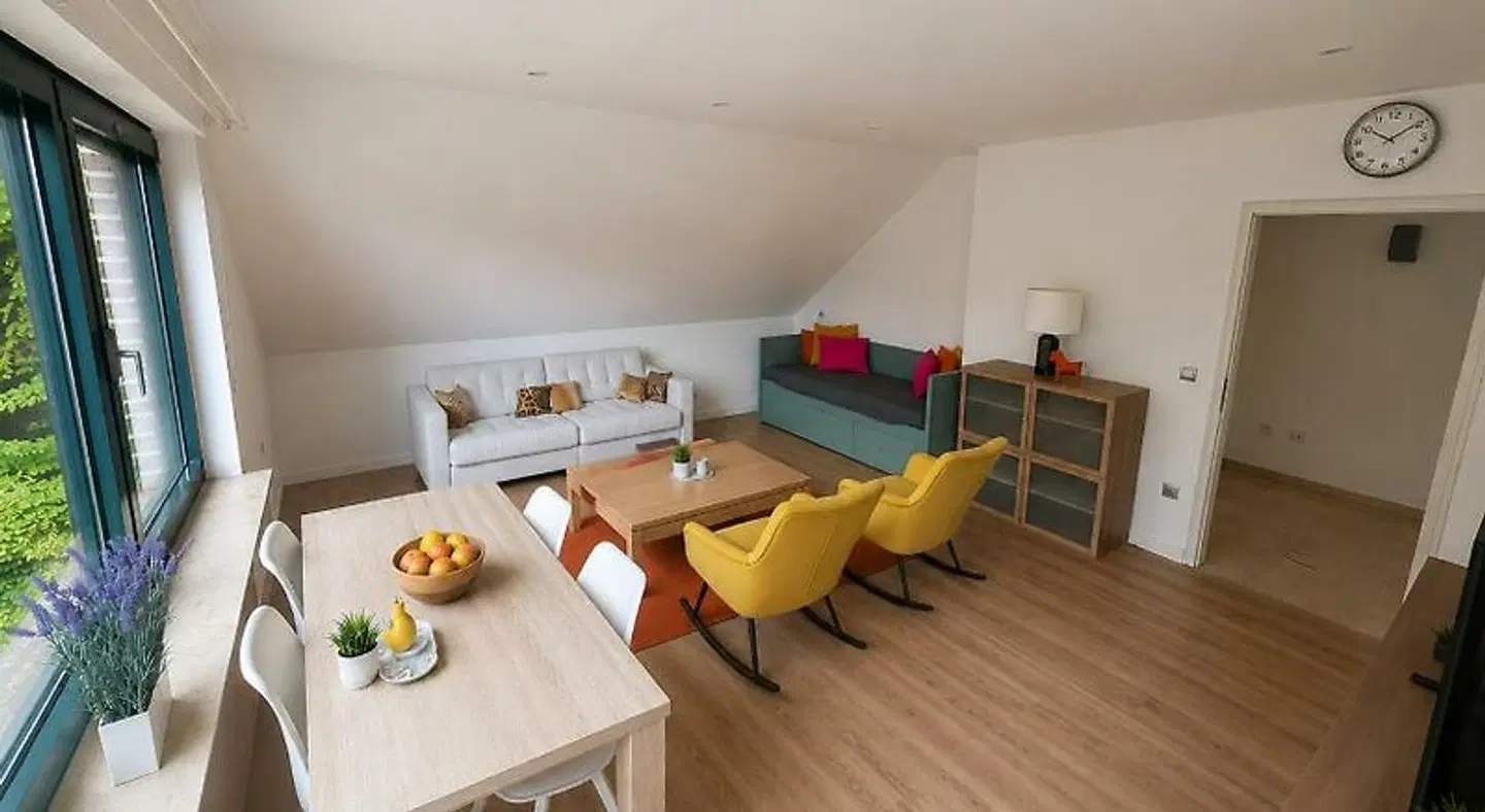 Papillon ROOM_EXAMPLE