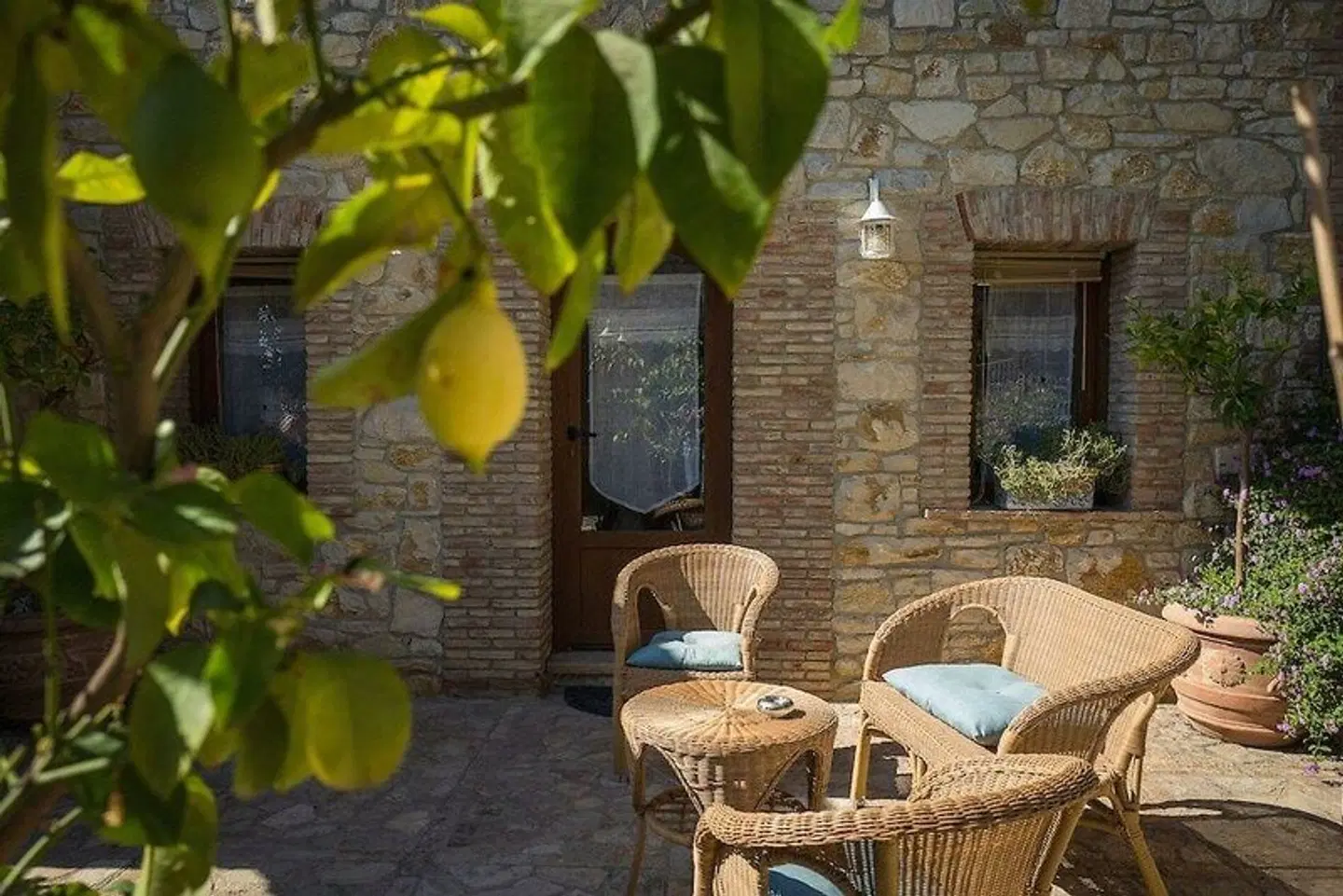 Relais Garden Cactus B&B Terrasse