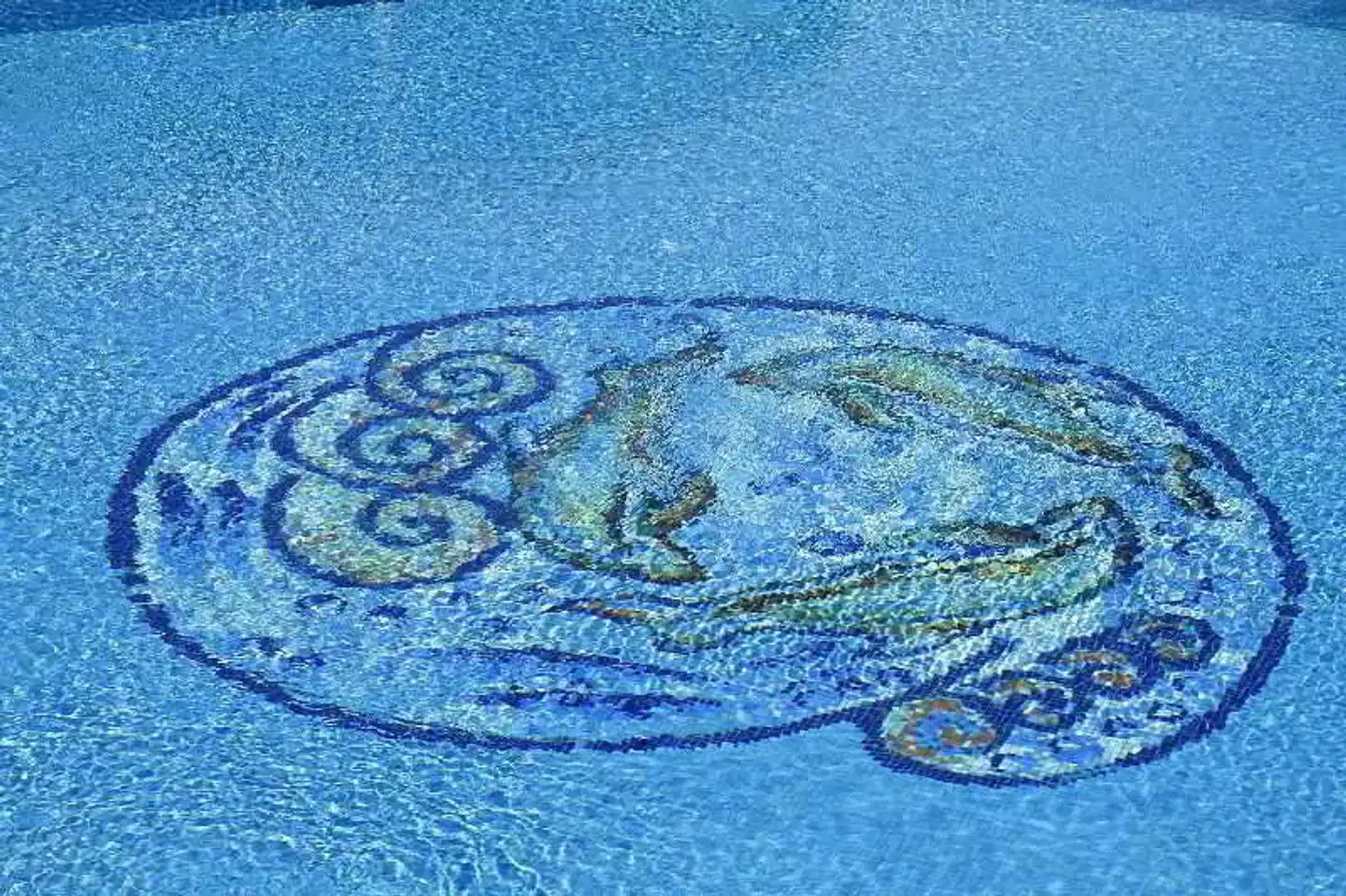 Plaza Beach Hotel Tiere