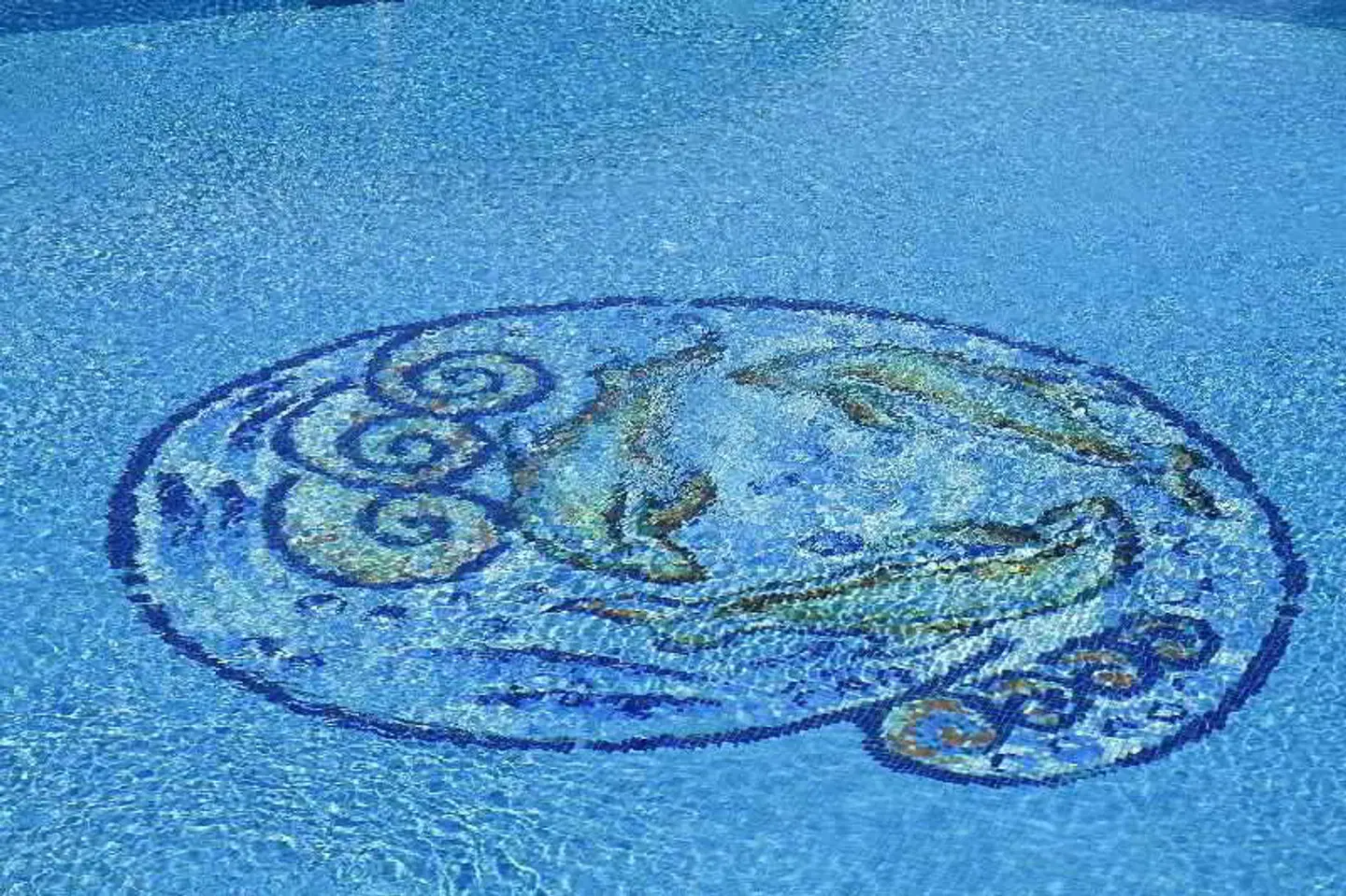 Plaza Beach Hotel Tiere