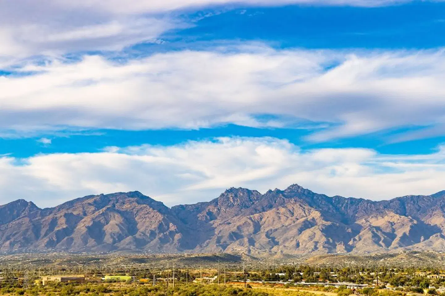 Hilton Tucson East LANDSCAPE