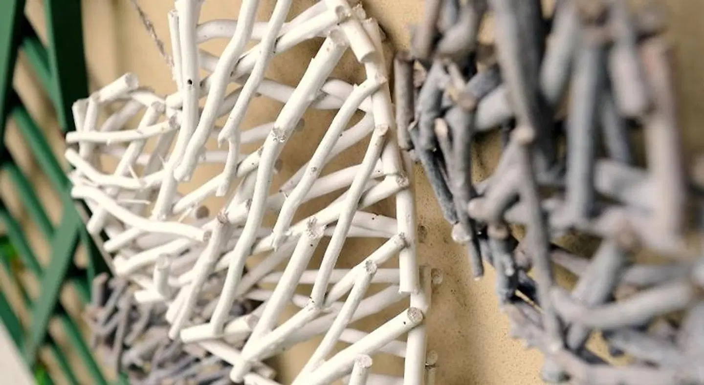 Carslogie House Tiere