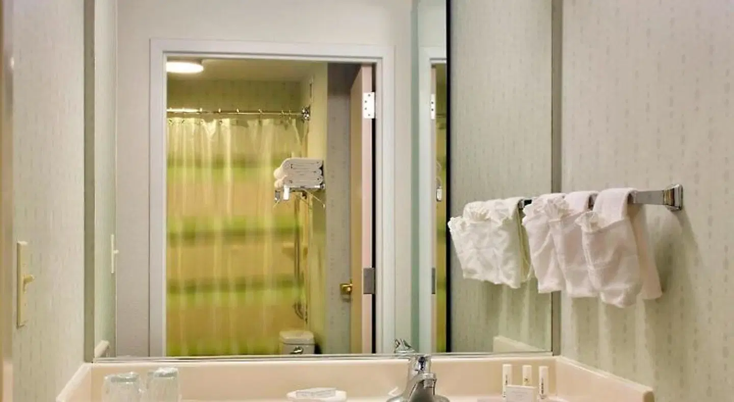 SpringHill Suites by Marriott Philadelphia Plymouth Meeting Badezimmer