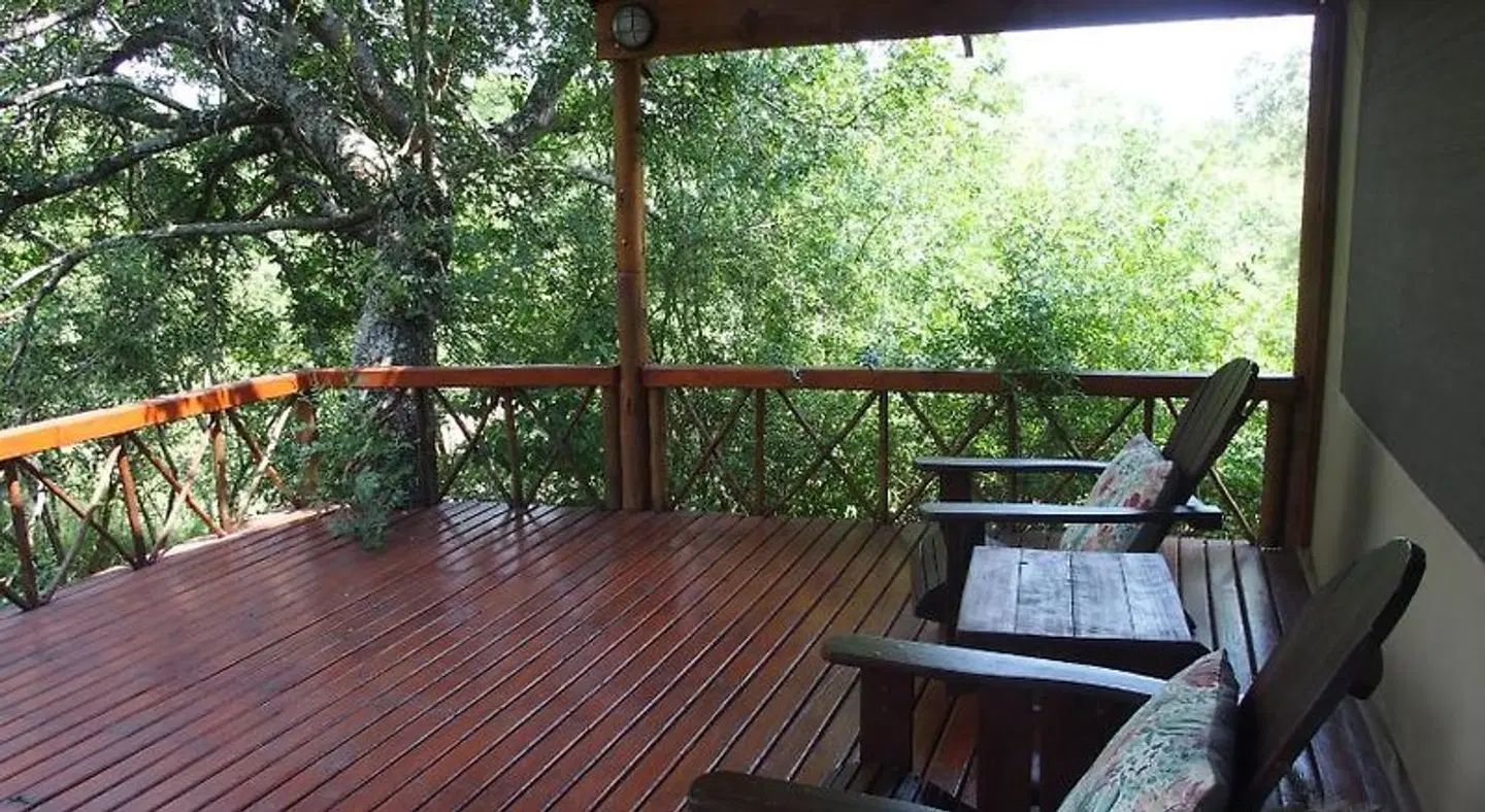 Lion Tree Top Lodge Terrasse