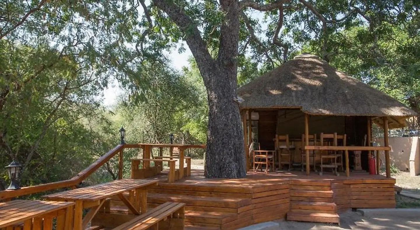 Lion Tree Top Lodge Terrasse