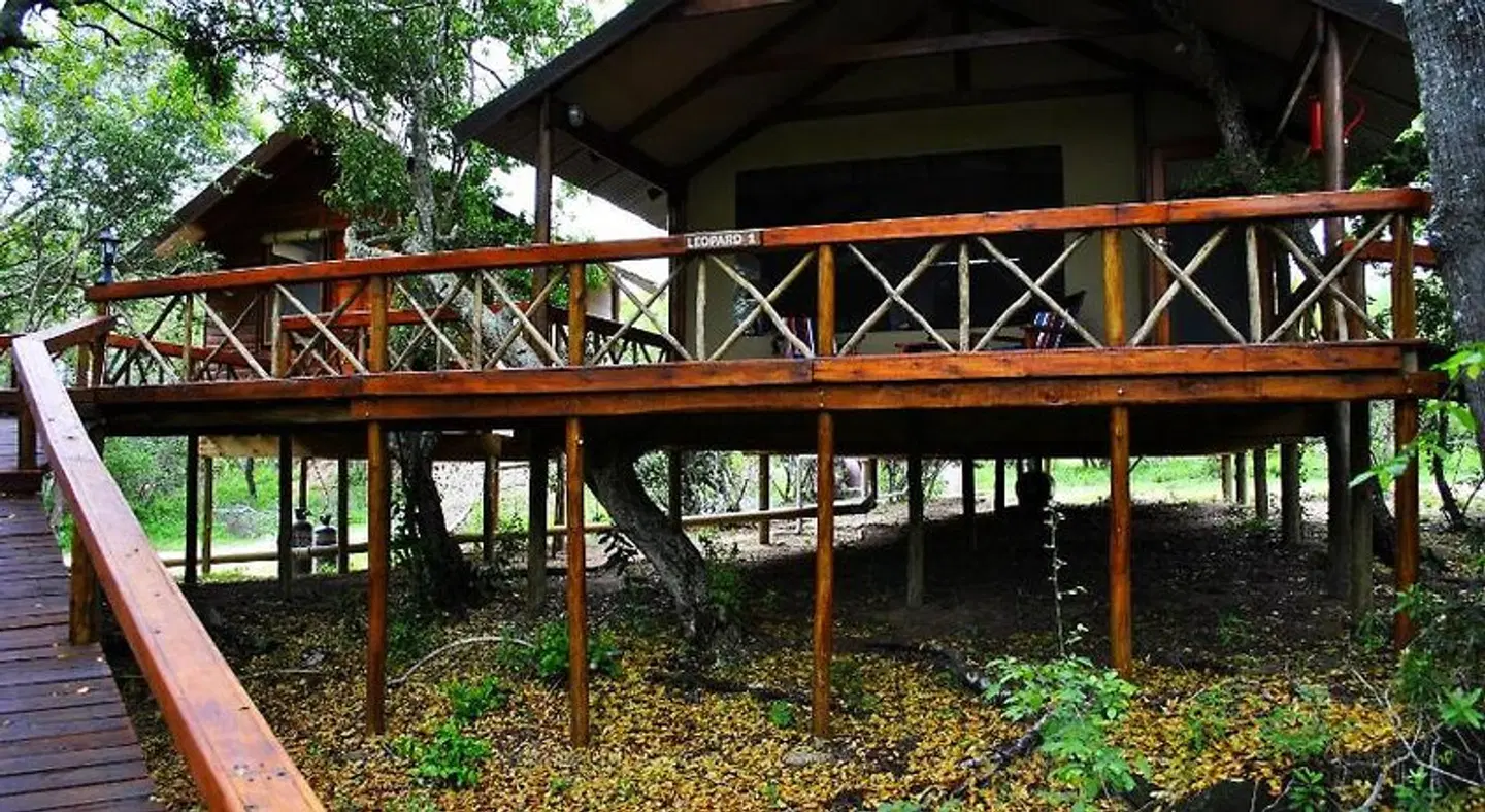 Lion Tree Top Lodge EXTERIOR