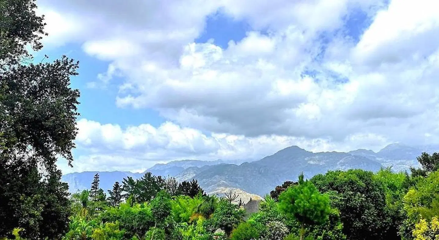 Val d'Or Estate LANDSCAPE